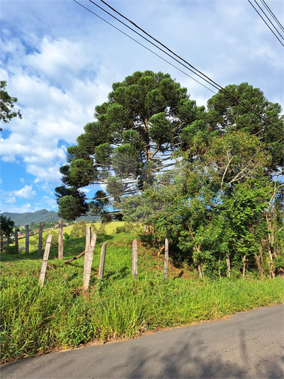 Foto REO1073163