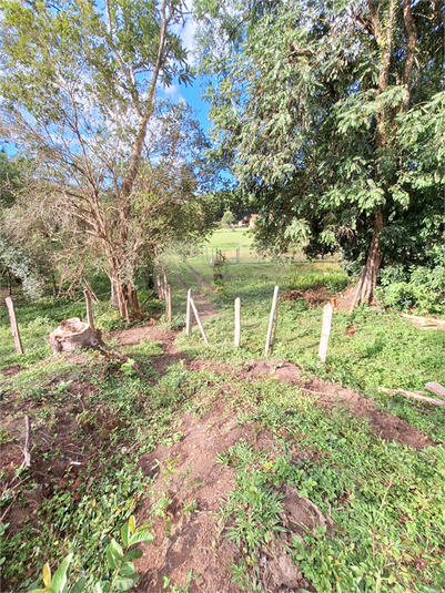 Foto REO1073163
