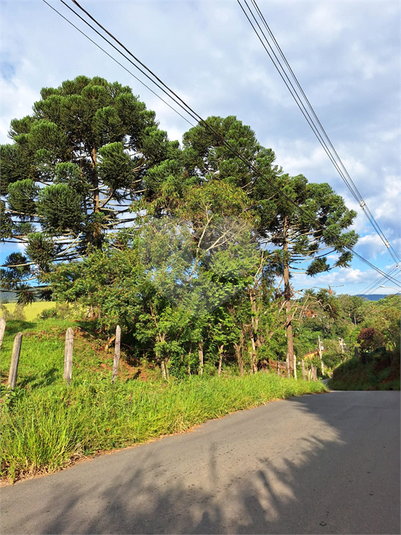 Foto REO1073163