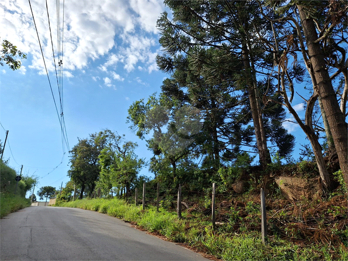 Foto REO1073163