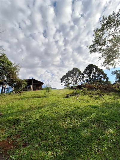 Foto REO1073163