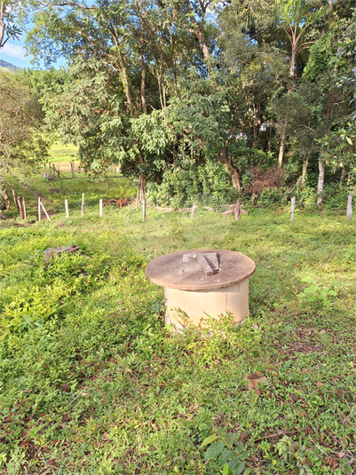 Foto REO1073163