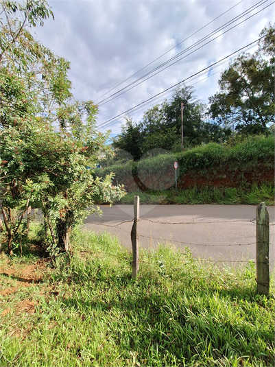 Foto REO1073163