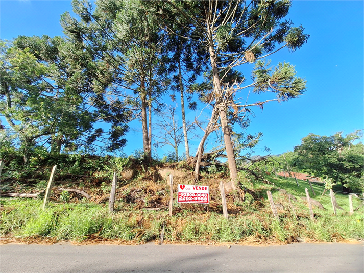 Foto REO1073163