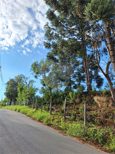 Foto REO1073163