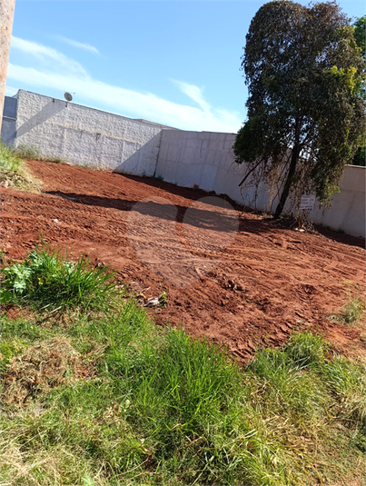 Foto REO1073191