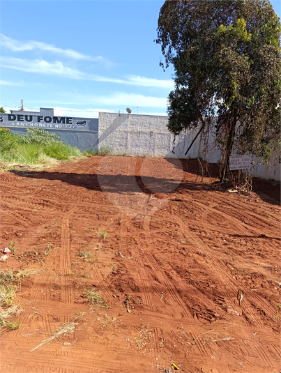 Foto REO1073191