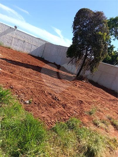 Foto REO1073191