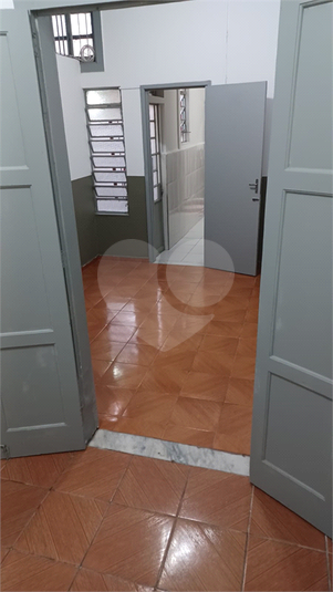 Foto REO1073194