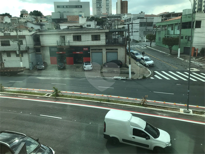 Foto REO1073208