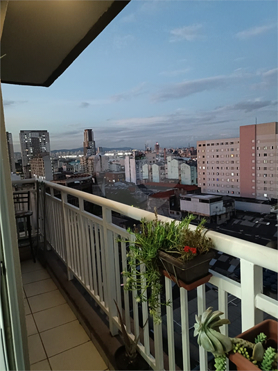 Foto REO1073241
