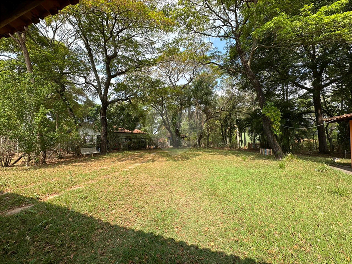 Foto REO1073251