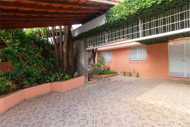 Foto REO1073308