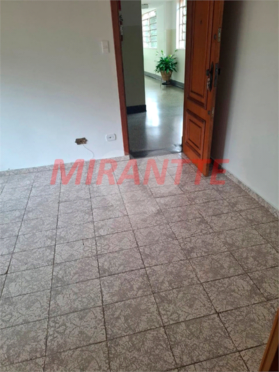 Foto REO1073315
