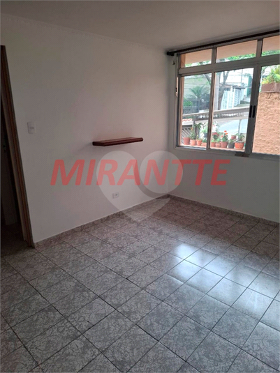 Foto REO1073315