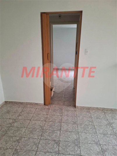 Foto REO1073315