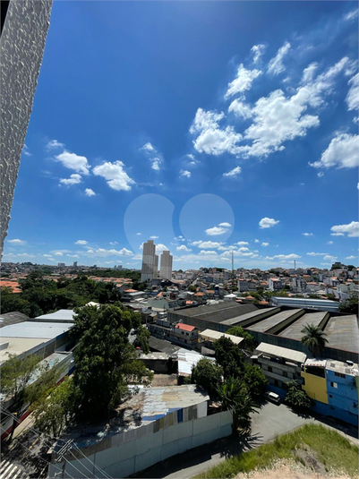 Foto REO1073392