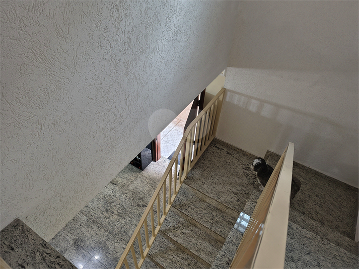 Foto REO1073419