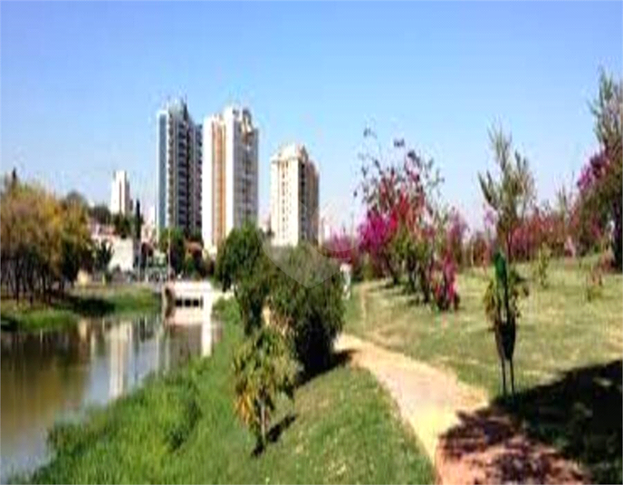 Foto REO1073425