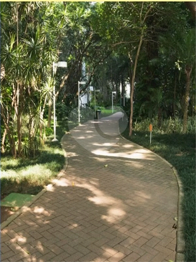 Foto REO1073449