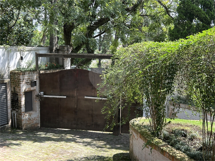 Foto REO1073452