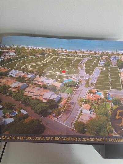 Foto REO1073455