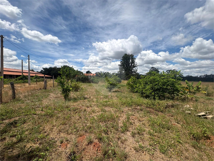 Foto REO1073475