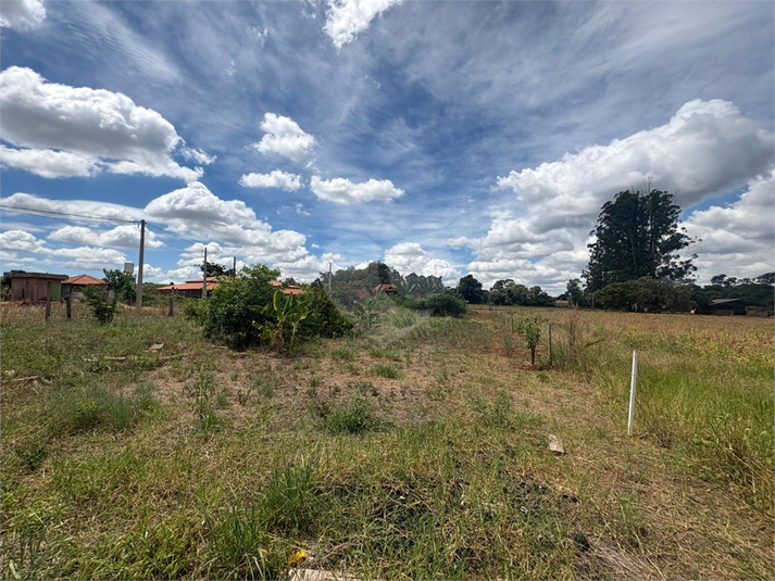 Foto REO1073475