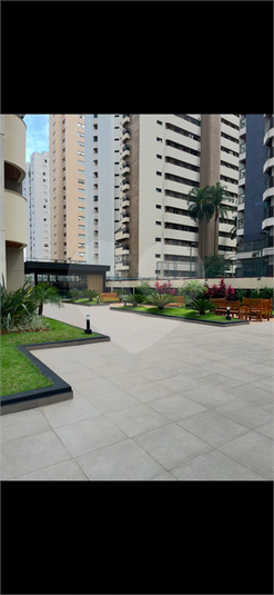 Foto REO1073480