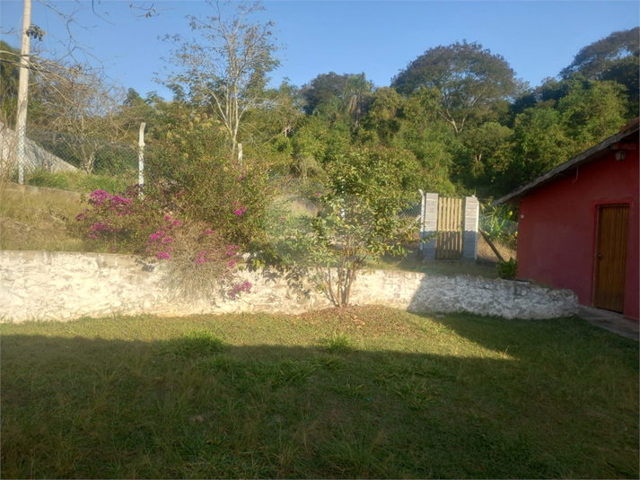 Foto REO1073484