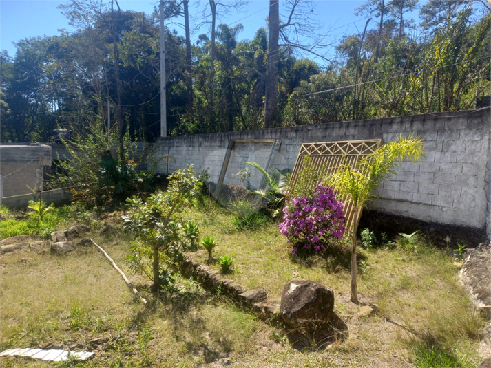 Foto REO1073484