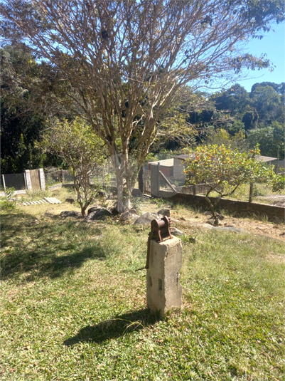 Foto REO1073484