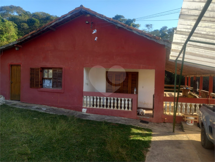 Foto REO1073484