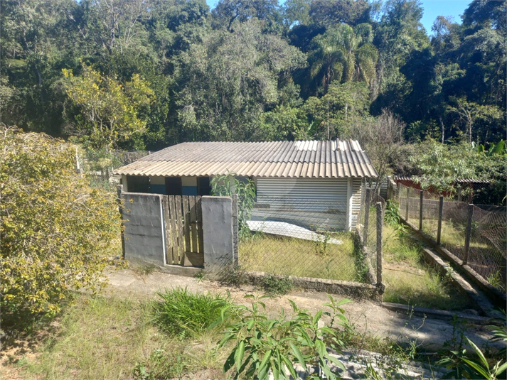 Foto REO1073484