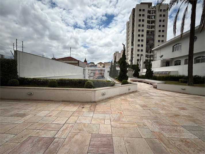 Foto REO1073495