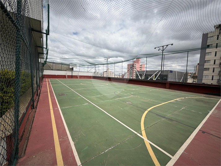 Foto REO1073495