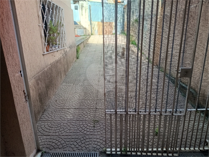Foto REO1073508