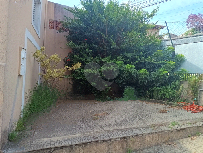 Foto REO1073508
