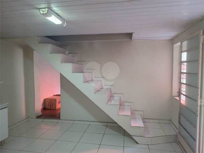 Foto REO1073508