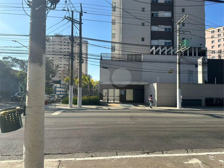 Foto REO1073543