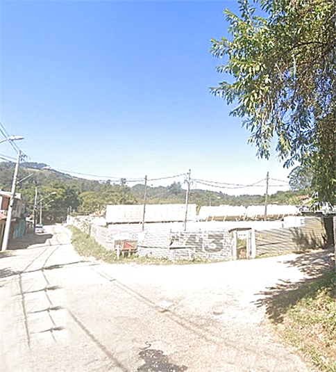Foto REO1073544