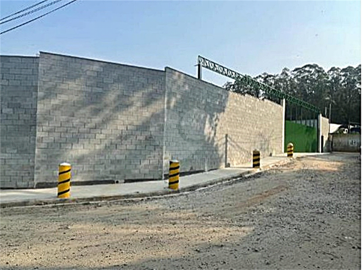Foto REO1073544