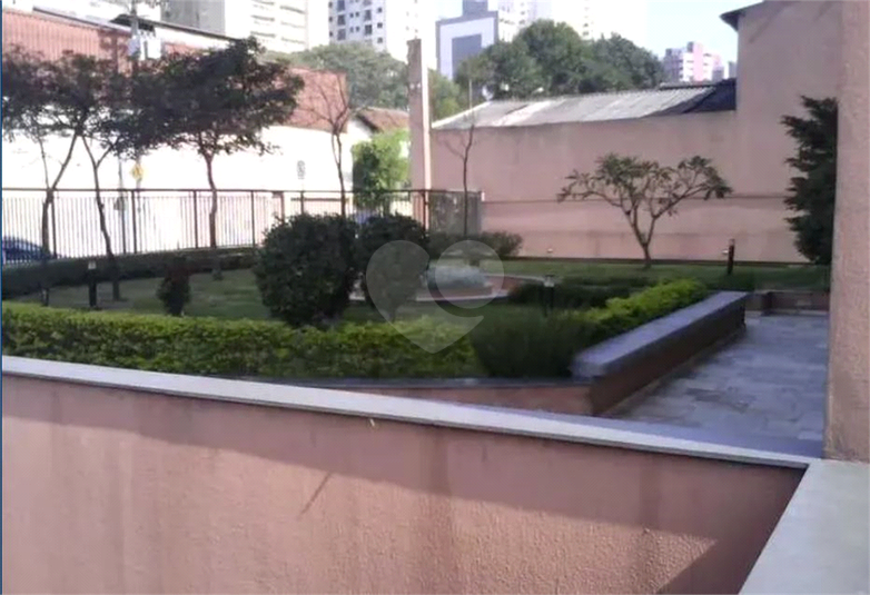 Foto REO1073557