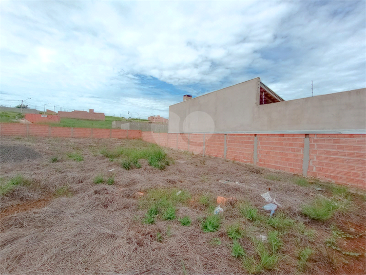 Foto REO1073602
