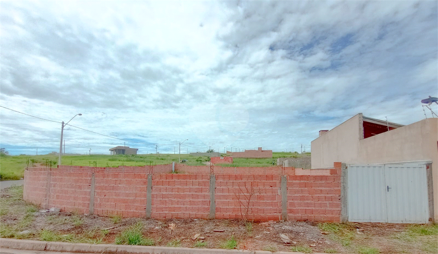 Foto REO1073602
