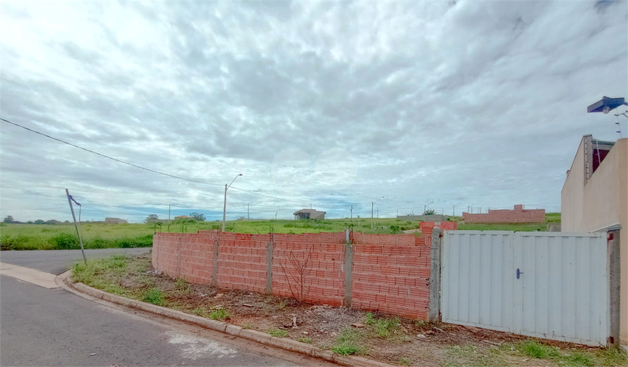 Foto REO1073602