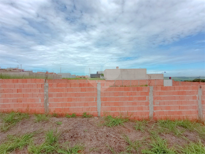Foto REO1073602