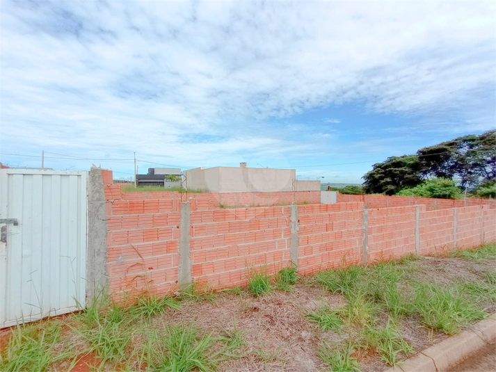 Foto REO1073602