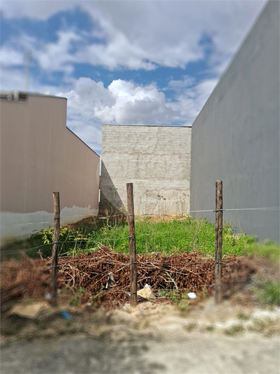 Foto REO1073617