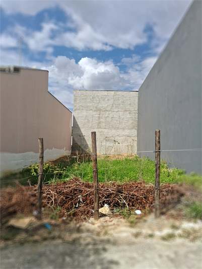 Foto REO1073617